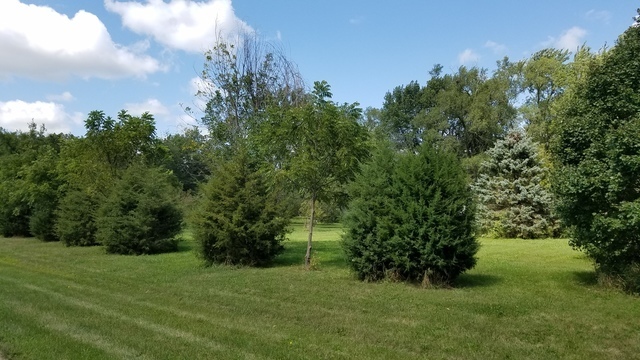 5548 West Heatherbrook Trail Monee, IL 60449 - Photo 2 of 10