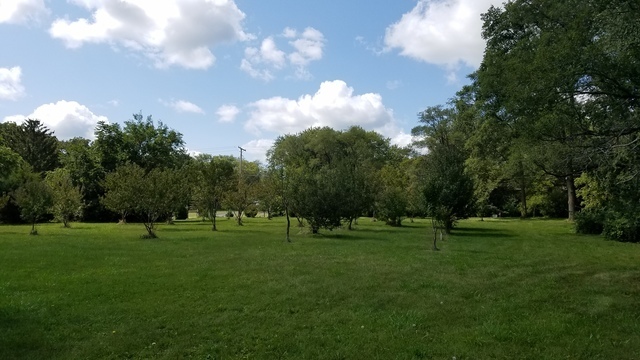 5548 West Heatherbrook Trail Monee, IL 60449 - Photo 4 of 10