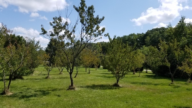 5548 West Heatherbrook Trail Monee, IL 60449 - Photo 6 of 10