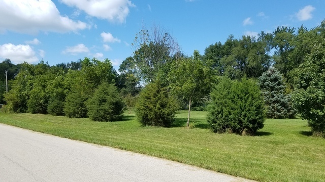 5548 West Heatherbrook Trail Monee, IL 60449 - Photo 7 of 10