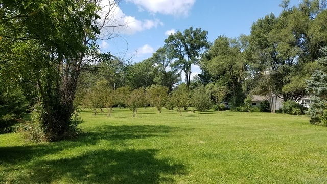 5548 West Heatherbrook Trail Monee, IL 60449 - Photo 8 of 10