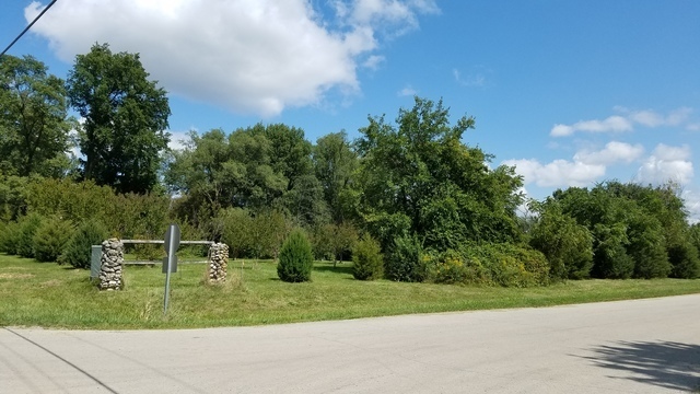 5548 West Heatherbrook Trail Monee, IL 60449 - Photo 9 of 10