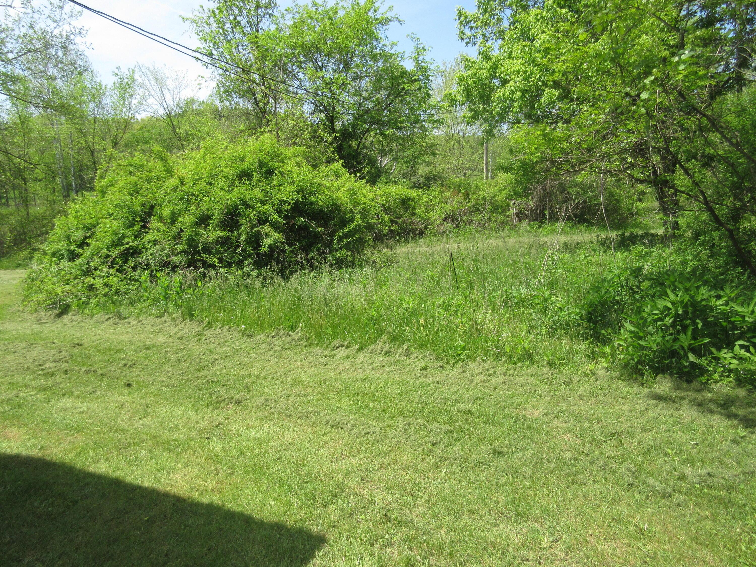 6800 Center Road Philo, OH 43771 - Photo 15 of 29 IMG_9064