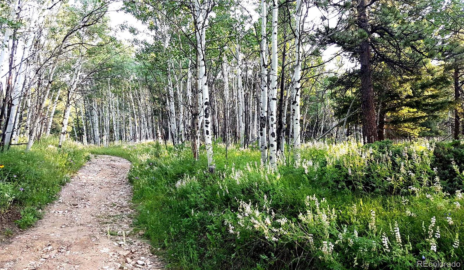 7105 Flagstaff Road Boulder, CO 80302 - Photo 39 of 45