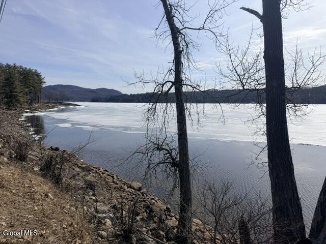 1397 North Shore Road Hadley, NY 12835 - Photo 11 of 25 IMG_7757