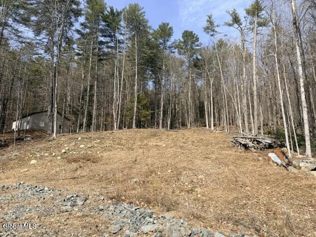 1397 North Shore Road Hadley, NY 12835 - Photo 15 of 25 IMG_7718