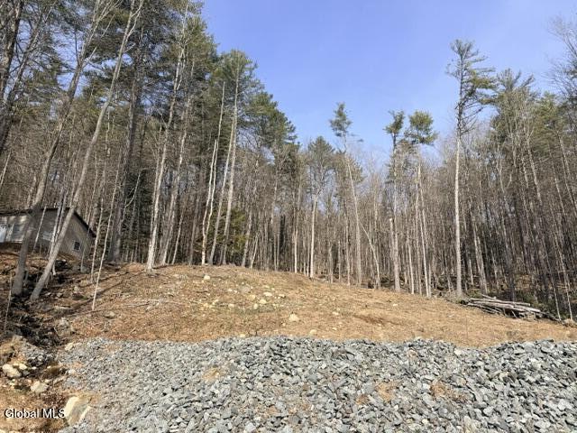 1397 North Shore Road Hadley, NY 12835 - Photo 2 of 25 IMG_7761