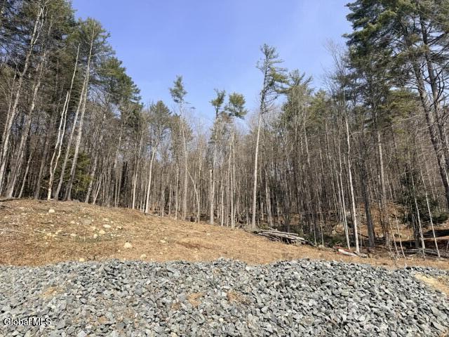 1397 North Shore Road Hadley, NY 12835 - Photo 3 of 25 IMG_7760