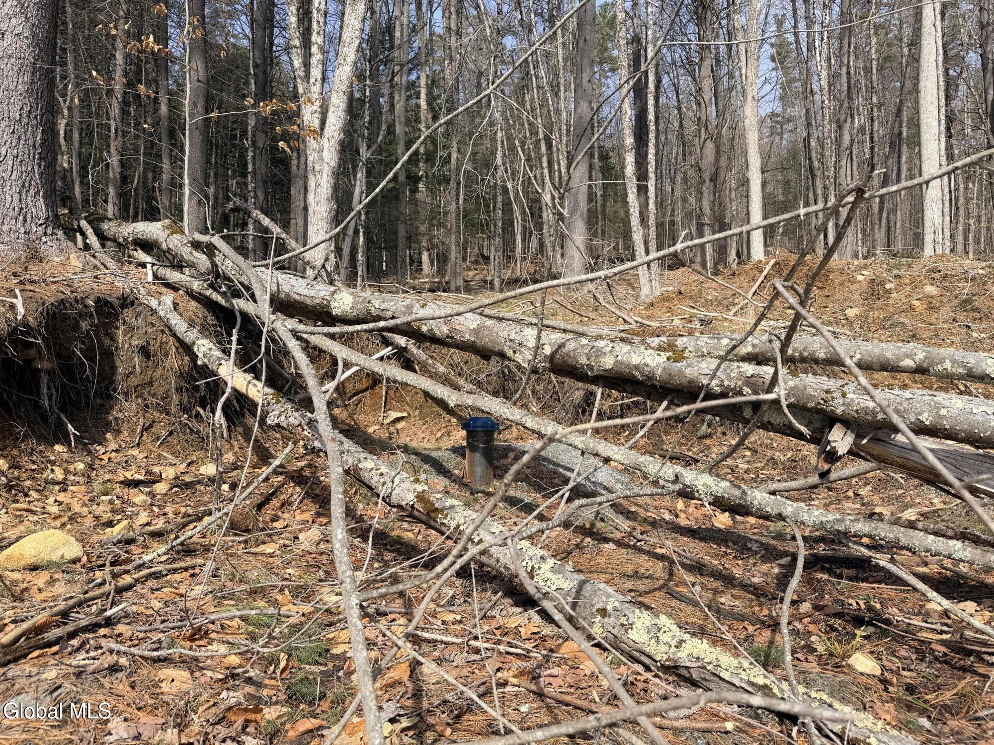 1397 North Shore Road Hadley, NY 12835 - Photo 4 of 25 IMG_7732