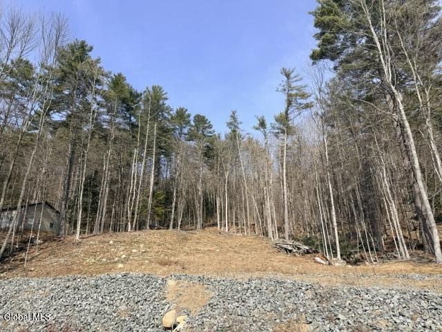 1397 North Shore Road Hadley, NY 12835 - Photo 5 of 25 IMG_7740