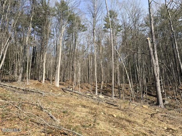 1397 North Shore Road Hadley, NY 12835 - Photo 6 of 25 IMG_7728