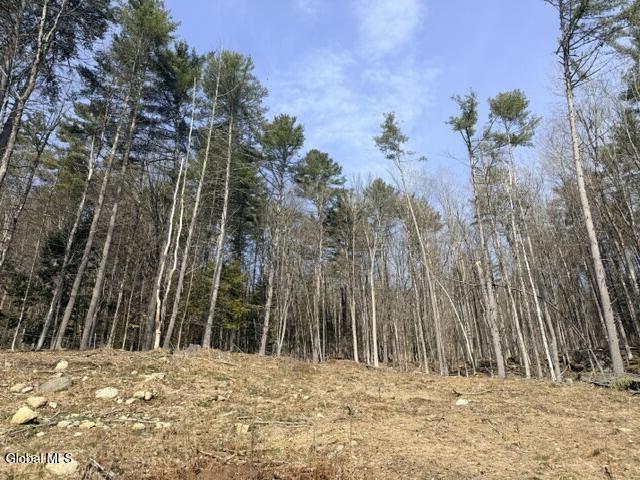 1397 North Shore Road Hadley, NY 12835 - Photo 7 of 25 IMG_7719