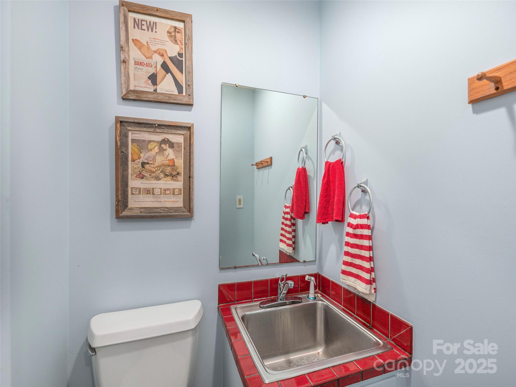 187 Turtle Creek Road Sylva, NC 28779 - Photo 13 of 36 a bathroom with blue walls and toilet
