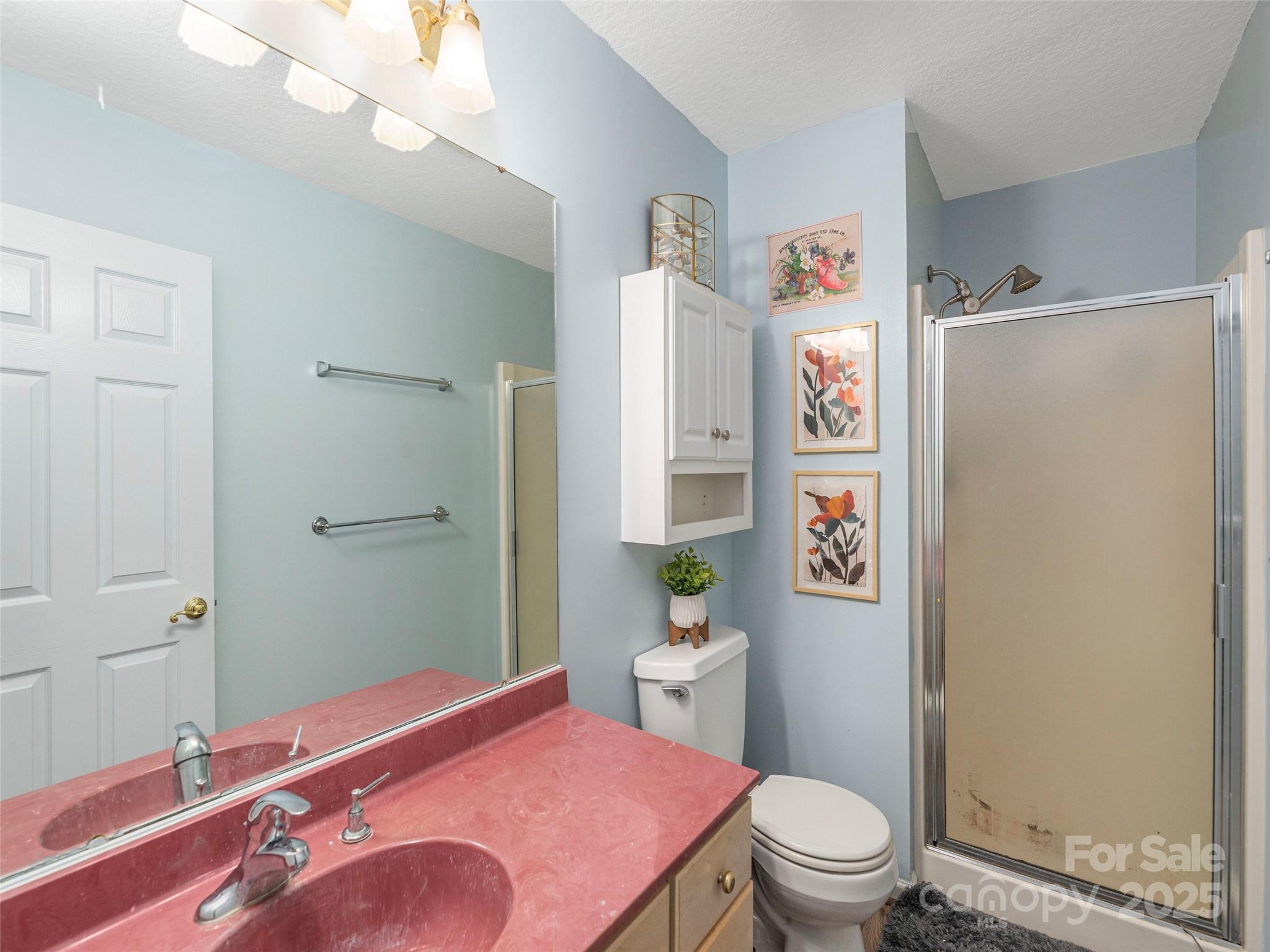 187 Turtle Creek Road Sylva, NC 28779 - Photo 18 of 36 a bathroom with a sink a toilet a shower and a mirror