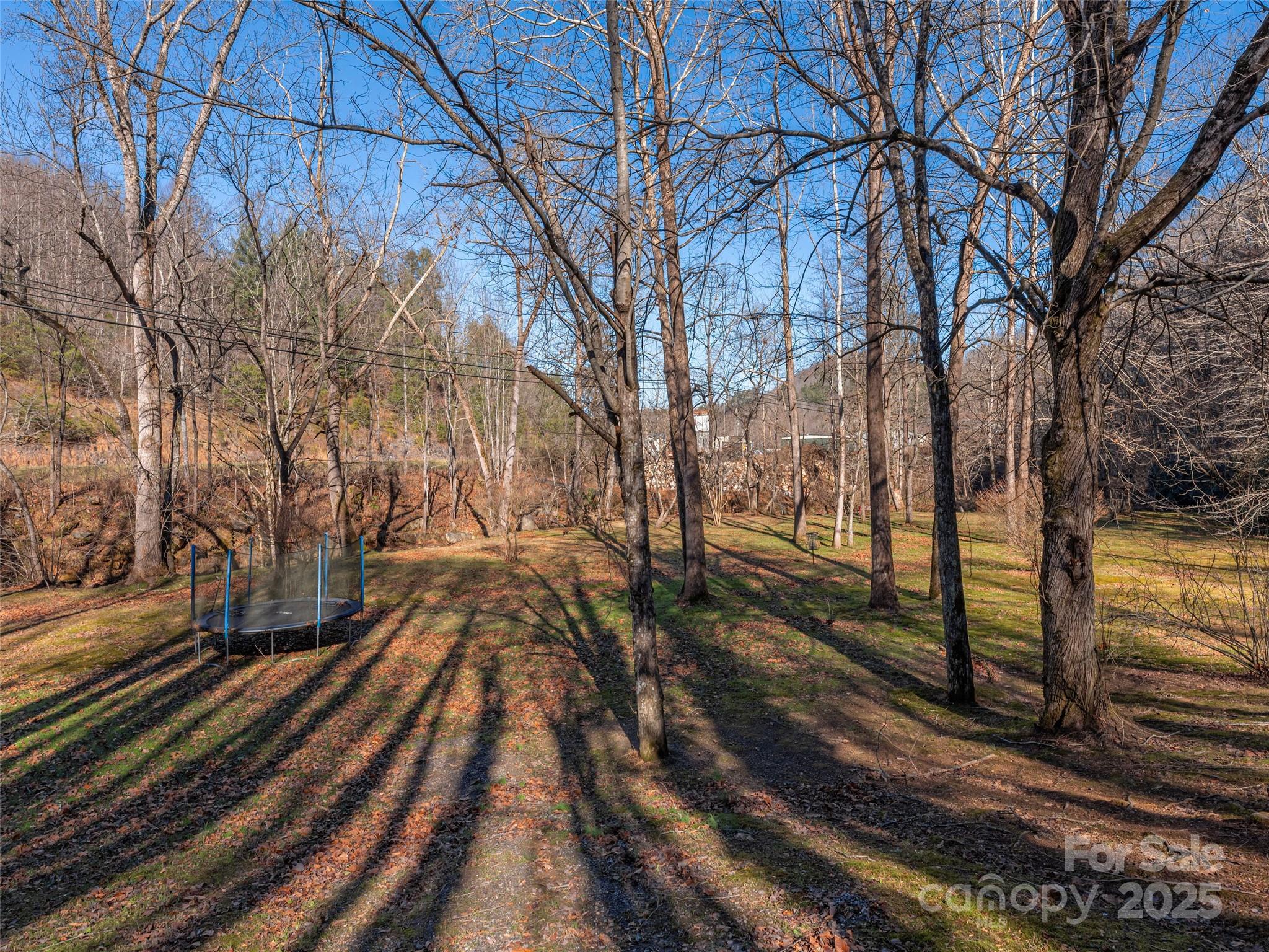 187 Turtle Creek Road Sylva, NC 28779 - Photo 27 of 36 a view of a yard with wooden fence