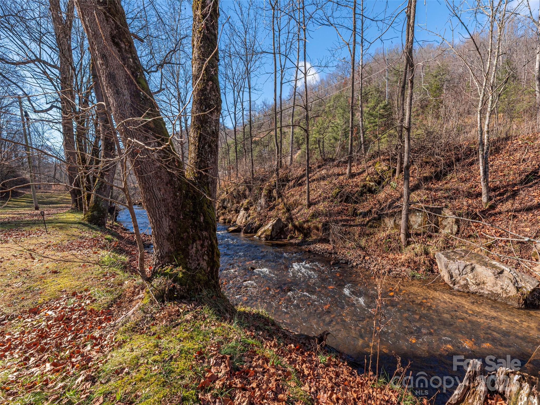187 Turtle Creek Road Sylva, NC 28779 - Photo 32 of 36 a backyard of a house with lots of green space