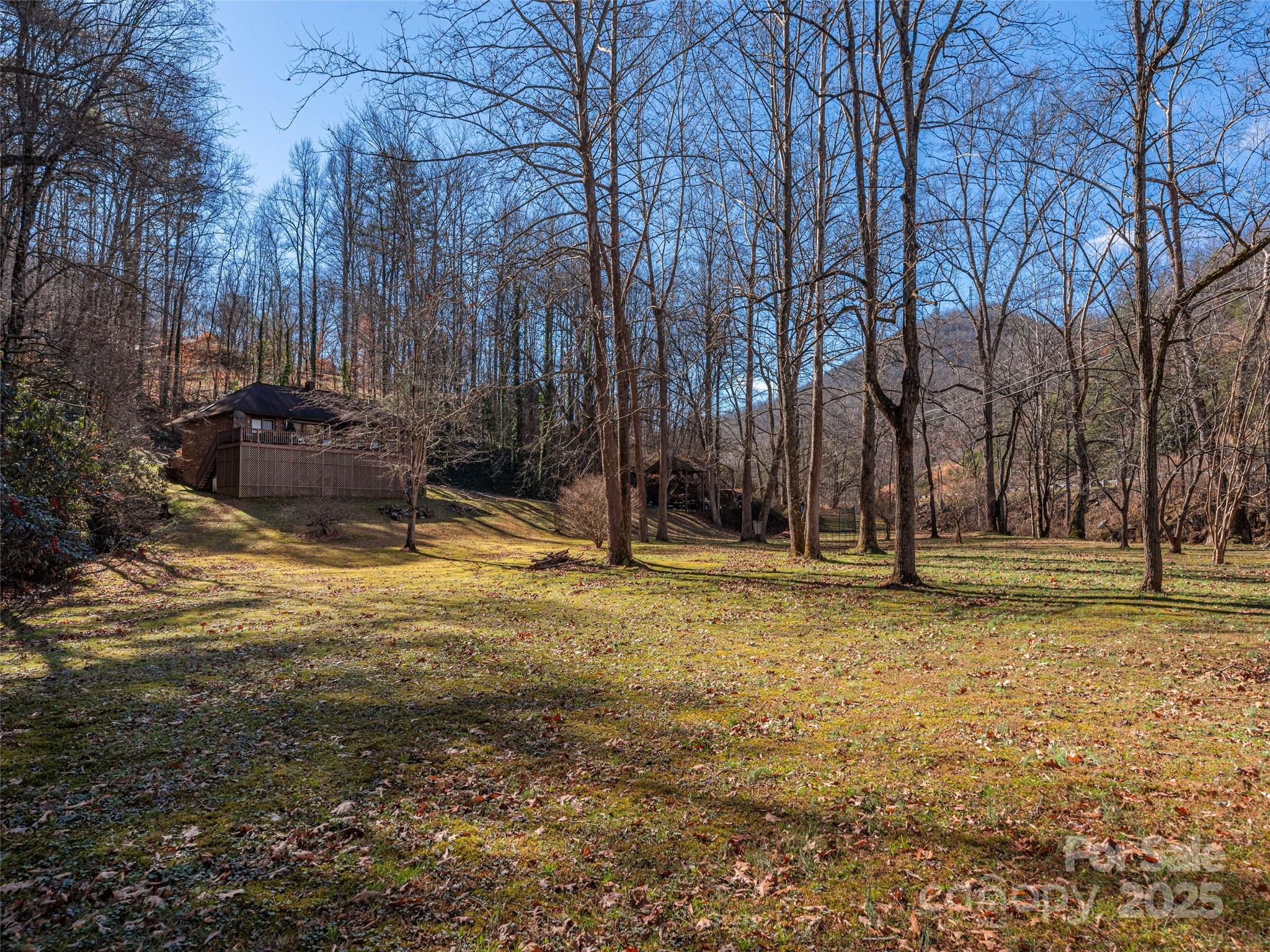 187 Turtle Creek Road Sylva, NC 28779 - Photo 33 of 36 a view of a yard with swimming pool