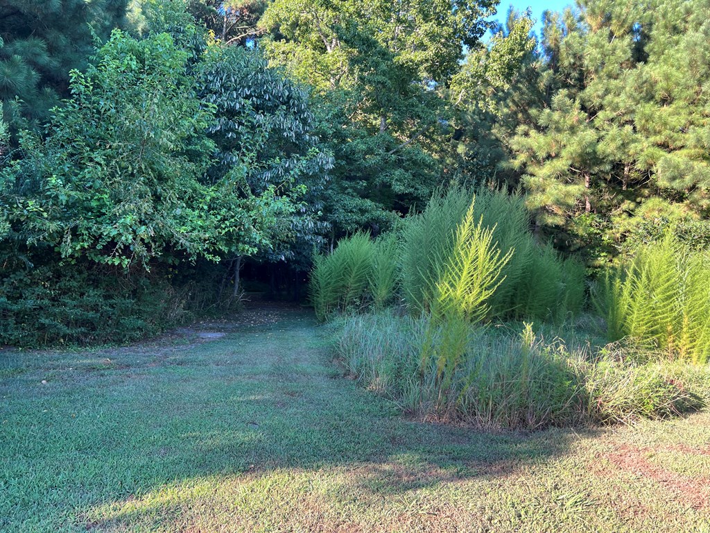 0 Messongo Road, Unit 85 Temperanceville, VA 23442 - Photo 5 of 14