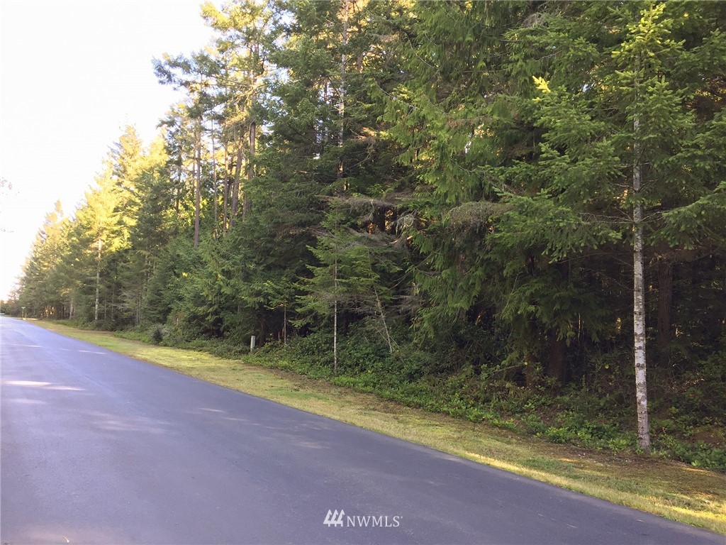 9999 Hunt Road, Unit LOT 3 Port Angeles, WA 98363 - Photo 14 of 14 Gallery Image 14