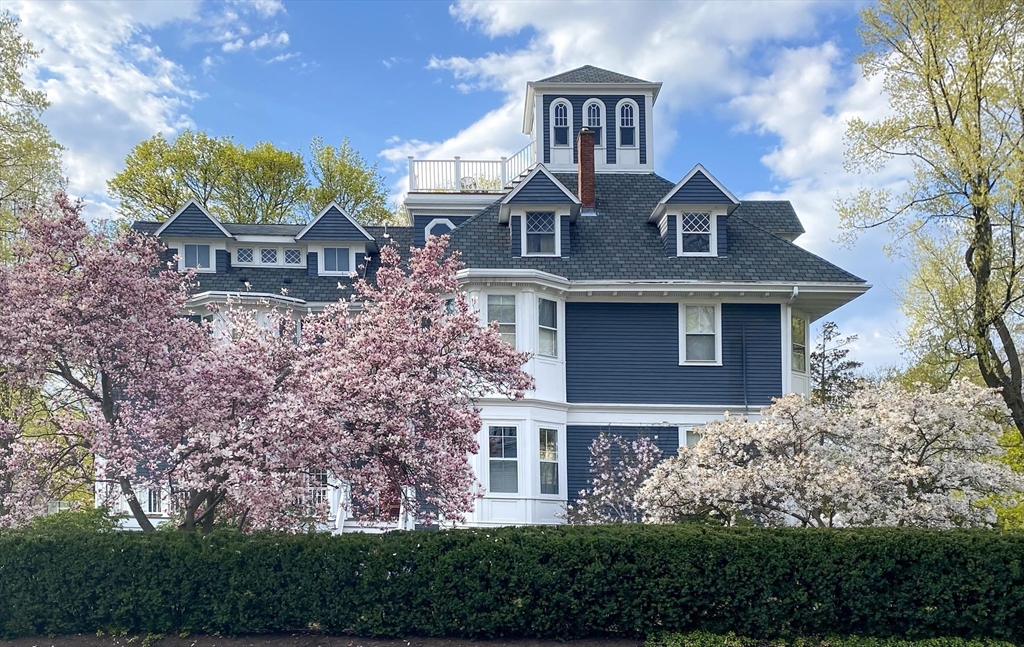 49 Shaw Street Newton, MA 02465 - Photo 1 of 19