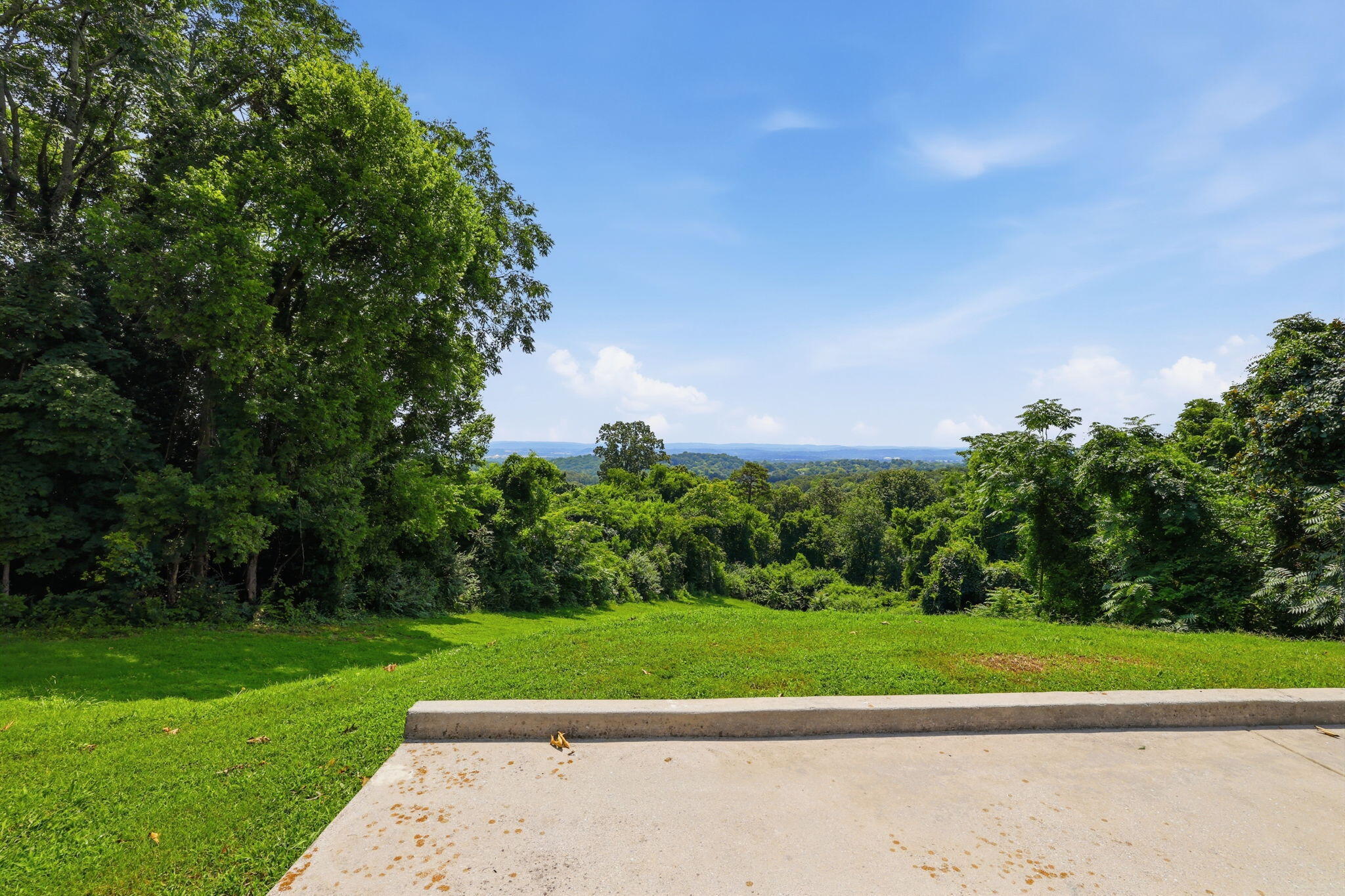 174 North Crest Road Chattanooga, TN 37404 - Photo 48 of 50 View from Back