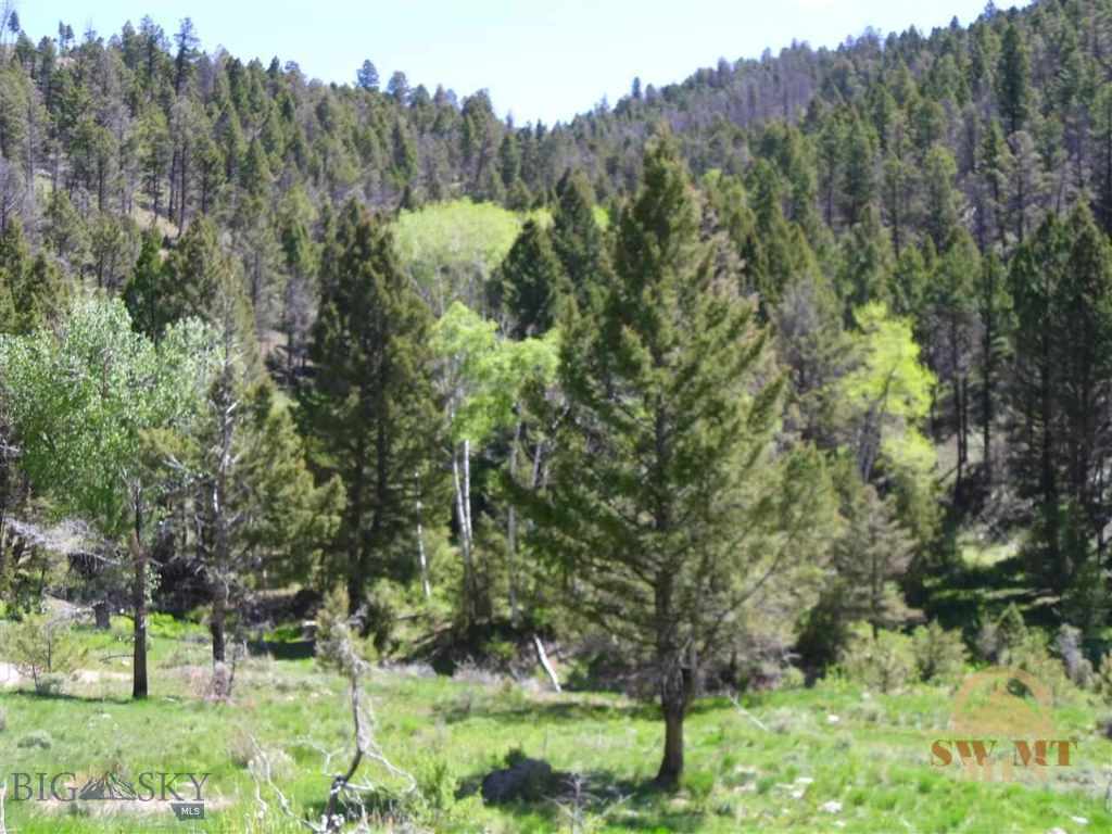 High Ore Road Boulder, MT 59632 - Photo 1 of 1 Gallery Image 1