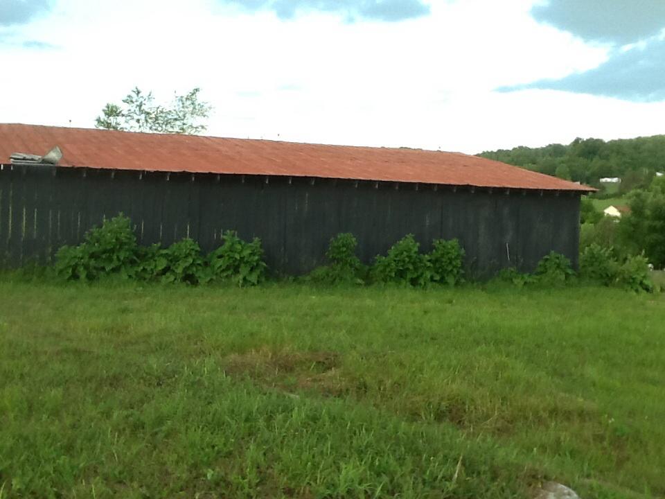 Russell Hill Road Speedwell, TN 37870 - Photo 3 of 6 image