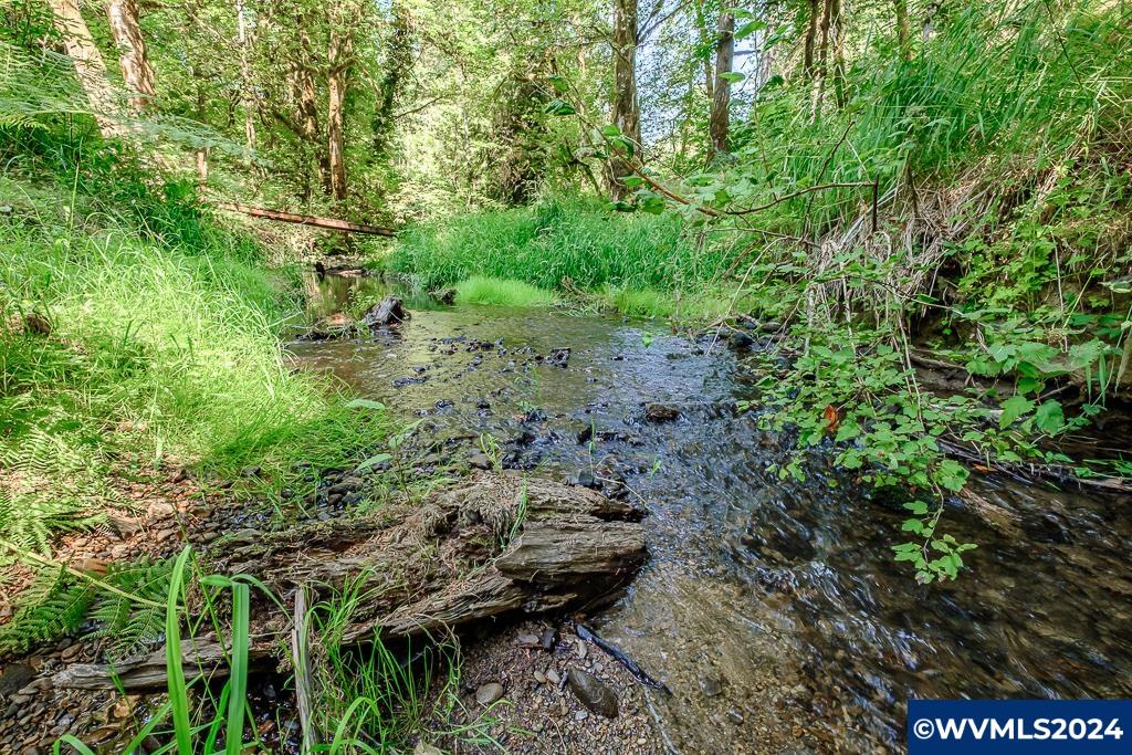 12860 Gilbert Creek Road Willamina, OR 97396 - Photo 17 of 38
