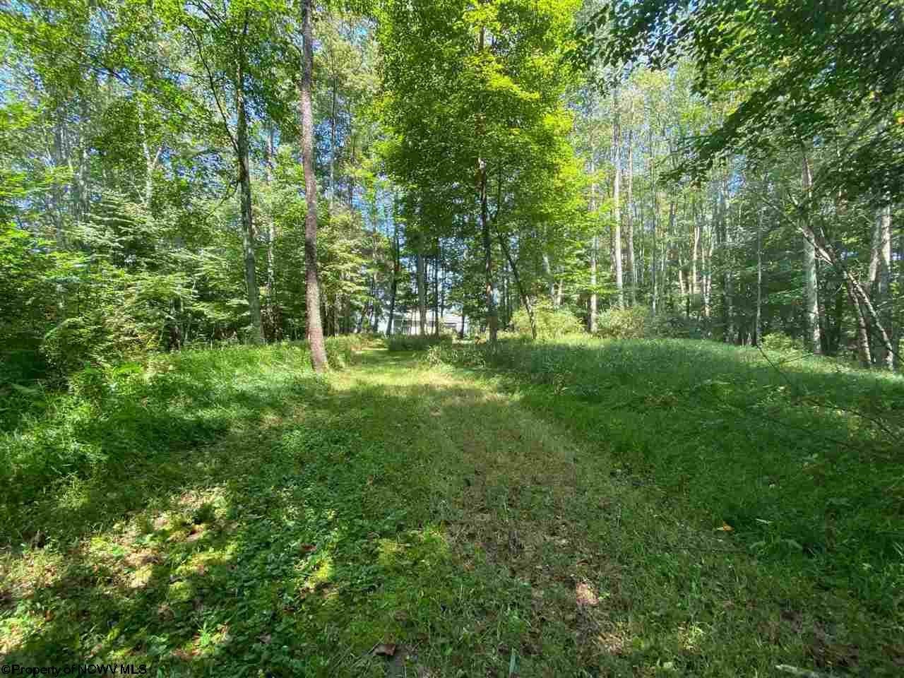 549 Co Rte 45/2 Red Creek, WV 26289 - Photo 13 of 21 Gallery Image 13