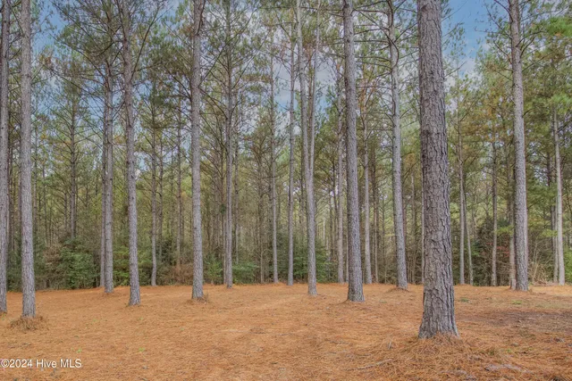 $2,600 | 365 Willow Brook Drive, Carthage, NC 28327