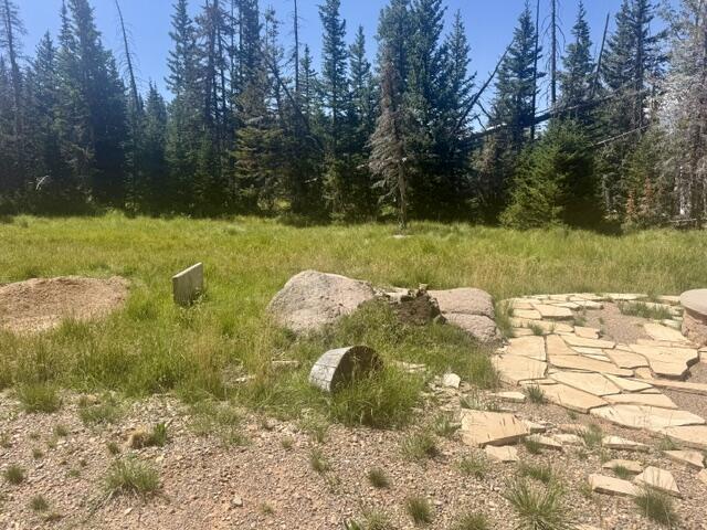 107 South Quill Road, Unit LOT 19 Brian Head, UT 84719 - Photo 11 of 19 IMG_7200