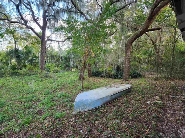a view of a backyard