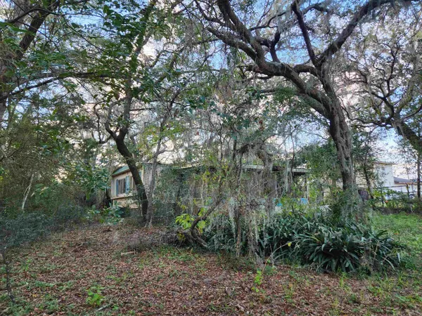 a view of a trees in a yard
