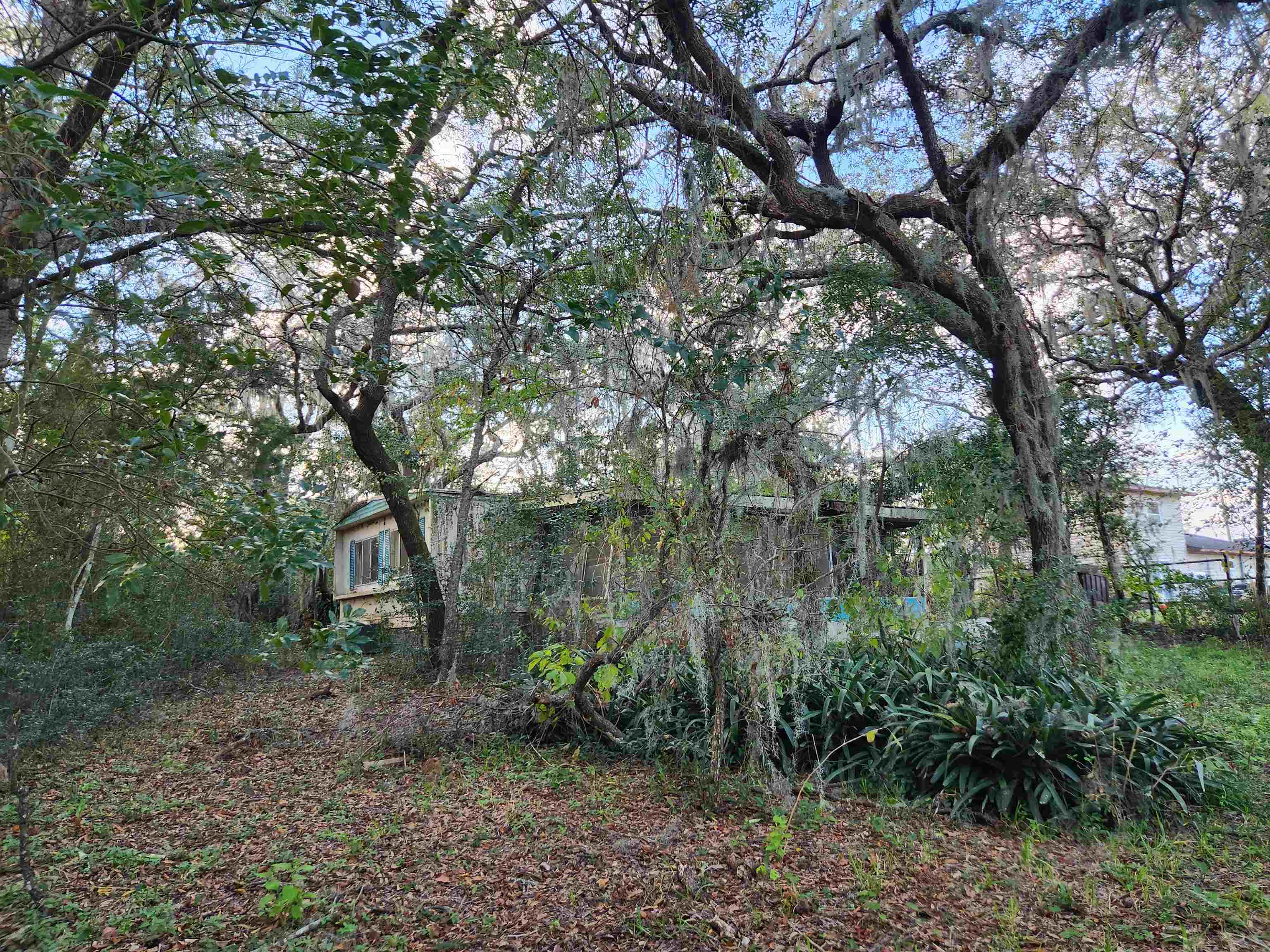 2890 Old Moultrie Road St. Augustine, FL 32086 - Photo 5 of 7 a backyard of a house with lots of plants and large trees