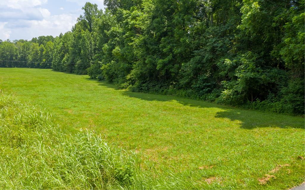 Crumptown Road Farmville, VA 23901 - Photo 12 of 32 Gallery Image 12