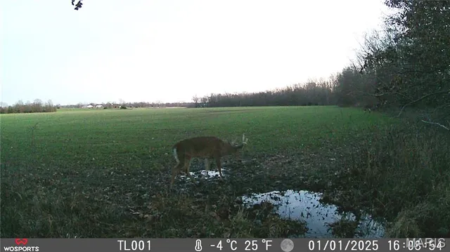 $265,000 | 0 Bales Road, Middletown, MO 63359