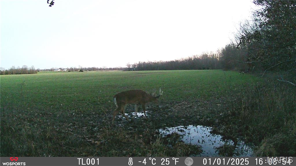0 Bales Road Middletown, MO 63359 - Photo 13 of 24