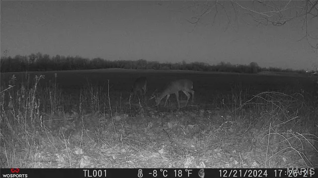 $265,000 | 0 Bales Road, Middletown, MO 63359