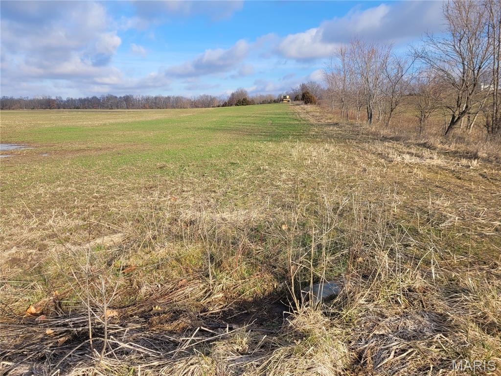 0 Bales Road Middletown, MO 63359 - Photo 20 of 24