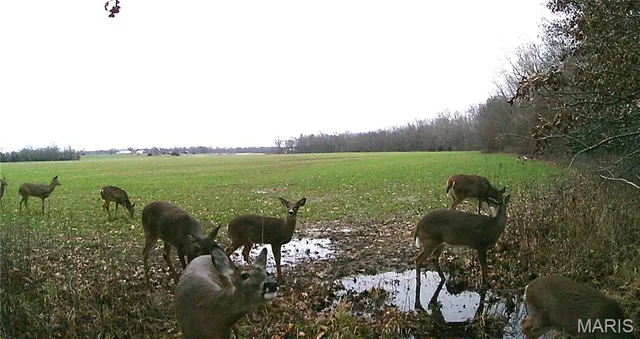 $265,000 | 0 Bales Road, Middletown, MO 63359