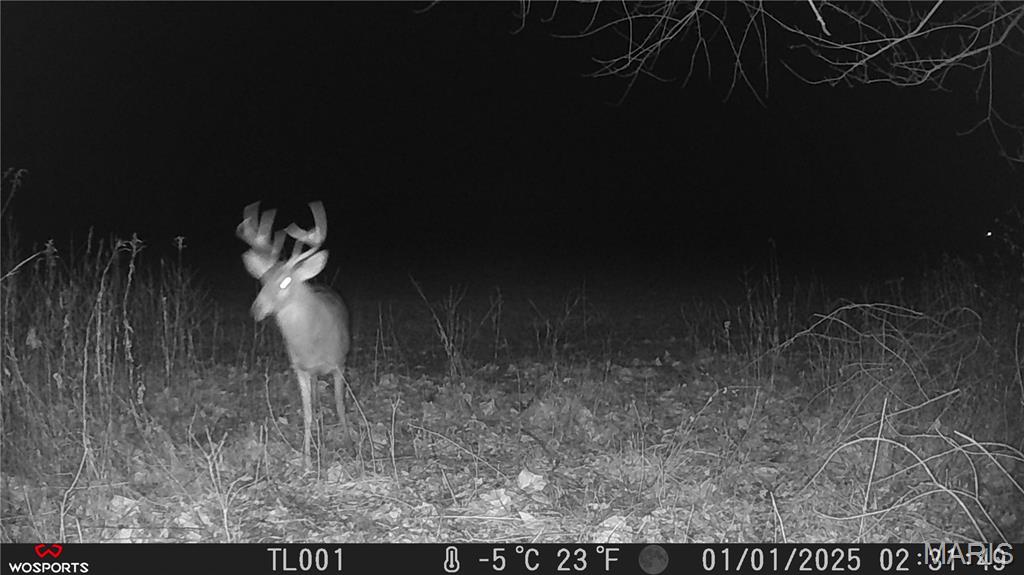 0 Bales Road Middletown, MO 63359 - Photo 6 of 24