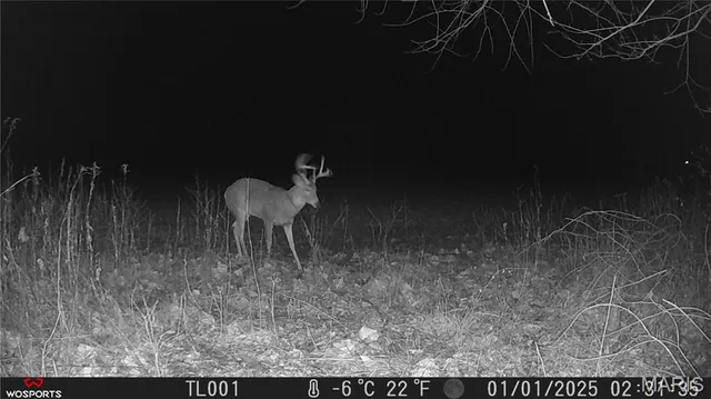 $265,000 | 0 Bales Road, Middletown, MO 63359