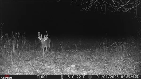 $265,000 | 0 Bales Road, Middletown, MO 63359