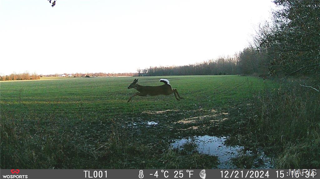 0 Bales Road Middletown, MO 63359 - Photo 9 of 24