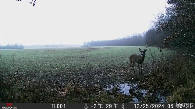 $265,000 | 0 Bales Road, Middletown, MO 63359