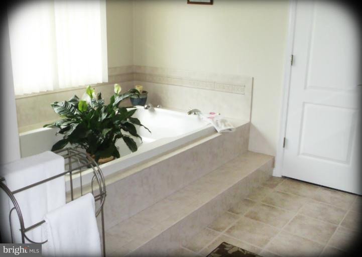 1309 Ridge Road Pylesville, MD 21132 - Photo 18 of 30 Bath (Master)