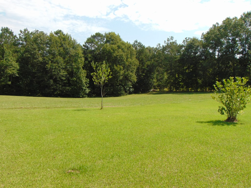3401 Mound Road Northeast Wesson, MS 39191 - Photo 39 of 44 Photo 39