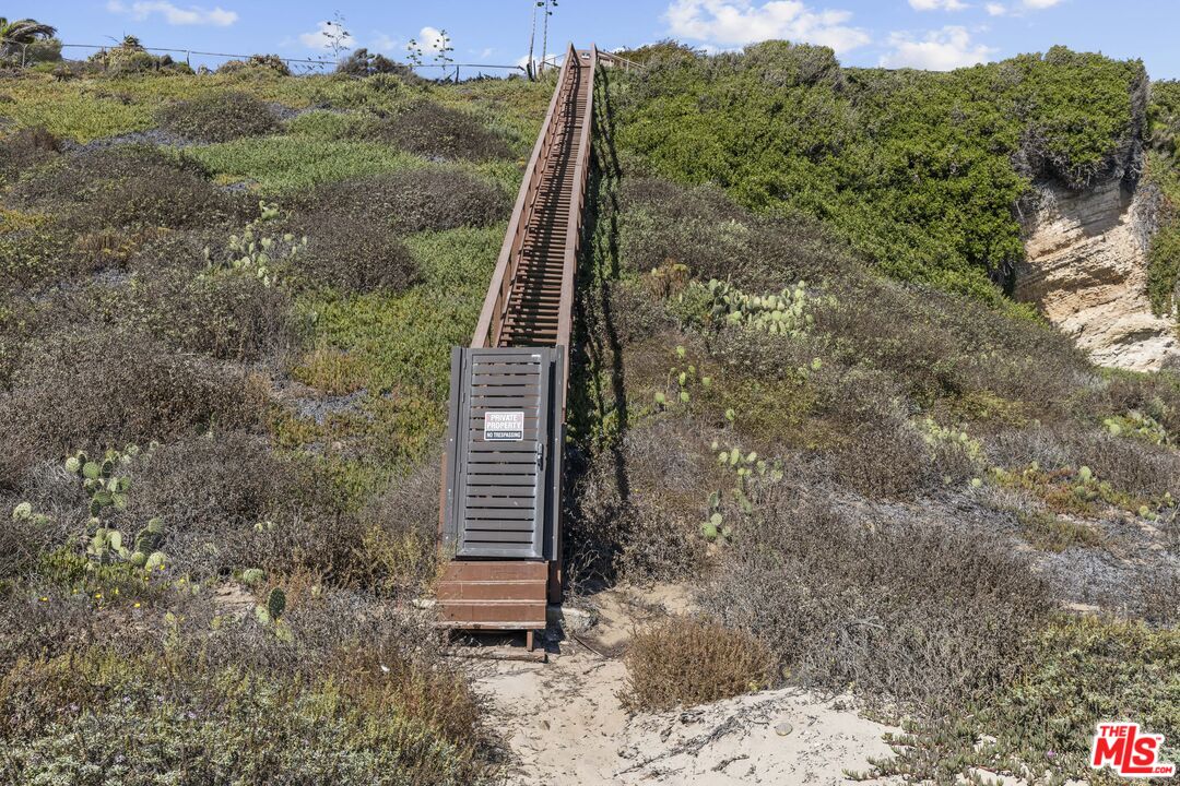 7263 Birdview Avenue Malibu, CA 90265 - Photo 16 of 17 a view of a yard with a tree