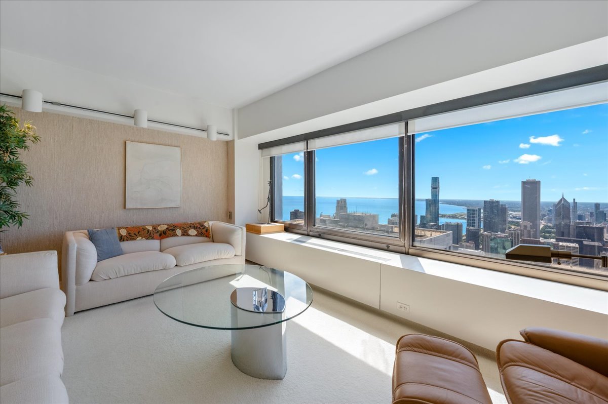 175 East Delaware Place, Unit 7910 Chicago, IL 60611 - Photo 4 of 20