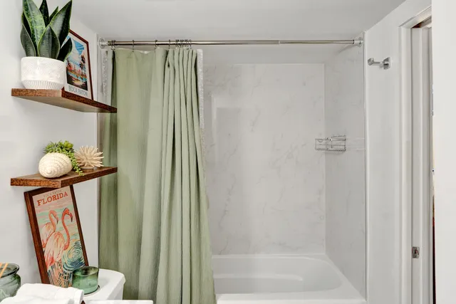 a view of a garden with plants